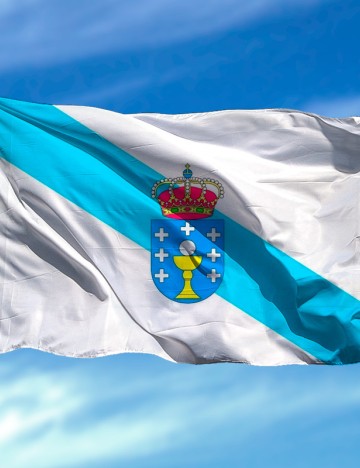 Bandera Galicia 20x30...
