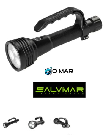 Lintena Foco Salvimar Mizar